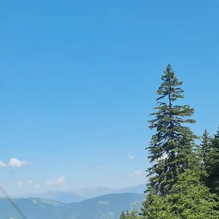 Salburg,troepolach Tröpolach