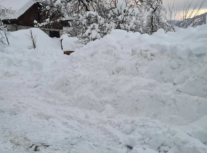 Salburg,tröpolach *