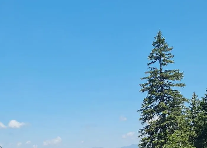 Salburg,troepolach Tröpolach